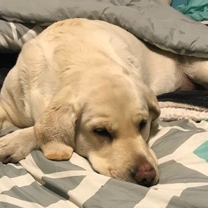 Meet your Posher, Faith